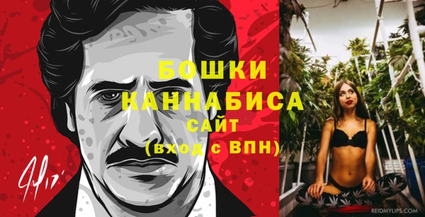 бошки Осинники