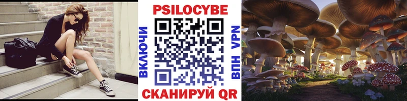 Псилоцибиновые грибы ЛСД  дарк нет официальный сайт  Онега  как найти закладки 